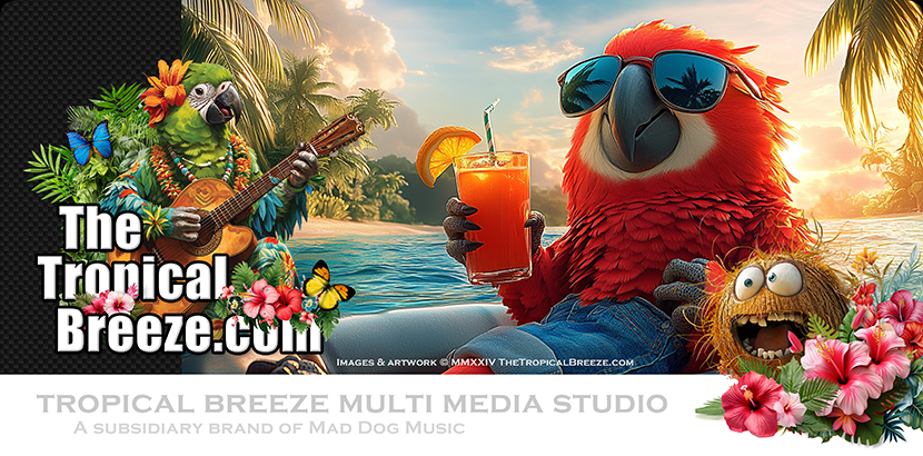 Welcome to The Tropical Breeze!